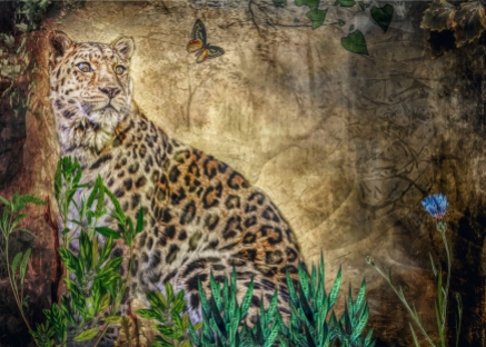 Leopard sketch